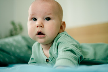 Similar image 22425418