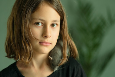 Similar image 22425424