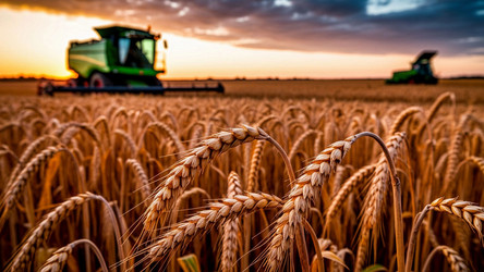 Similar image 22402386