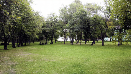 Similar image 22462830