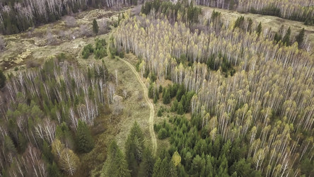 Similar image 22462874