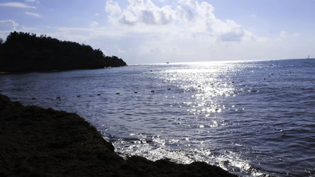 Similar image 22462934