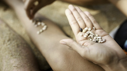 Similar image 22463008