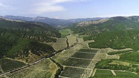 Similar image 22463053