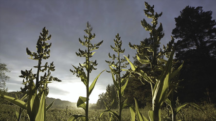 Similar image 22463248