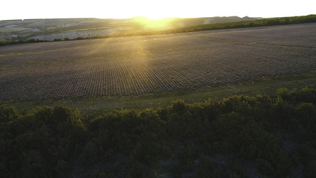 Similar image 22463278