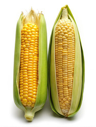 Similar image 22403129