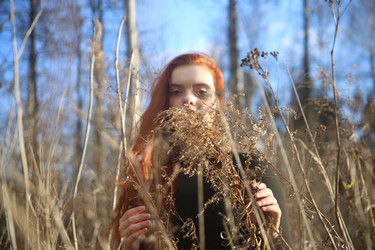 Similar image 22404040