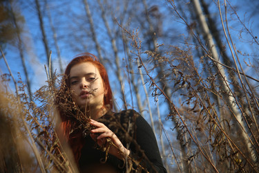 Similar image 22404041