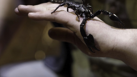 Similar image 22463893