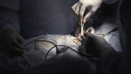 Similar image 22463968