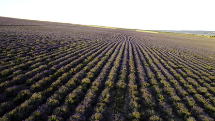 Similar image 22464044