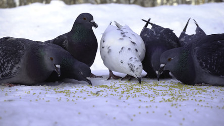 Similar image 22458235