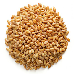 Similar image 22403014