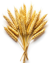 Similar image 22403015