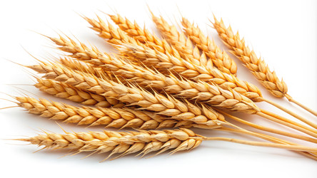 Similar image 22403016