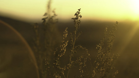 Similar image 22463384