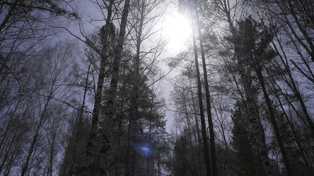 Similar image 22463474