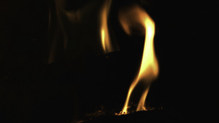 Similar image 22463488