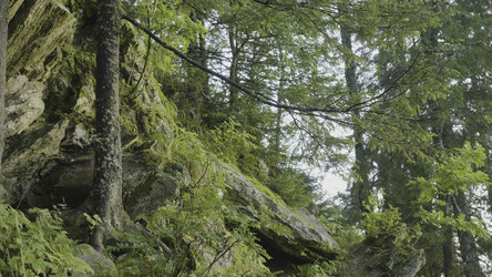 Similar image 22463578