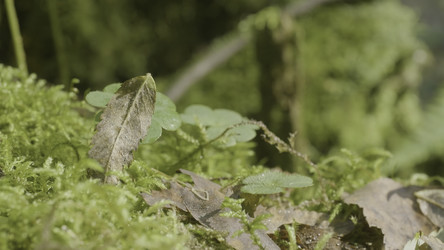 Similar image 22463593