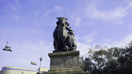 Similar image 22463699