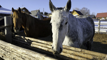 Similar image 22463819