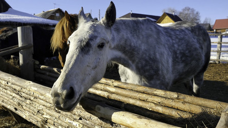 Similar image 22463848