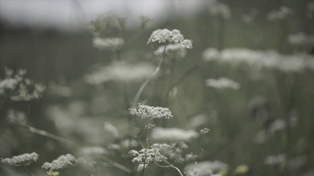 Similar image 22463970