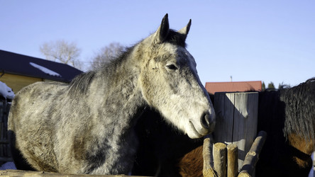 Similar image 22463927