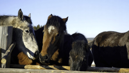 Similar image 22463938