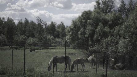 Similar image 22464017