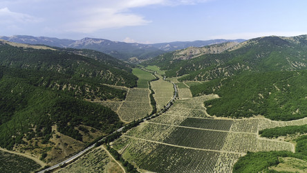 Similar image 22464045