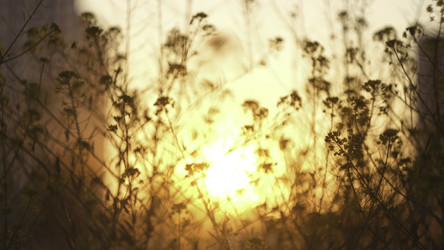 Similar image 22458221