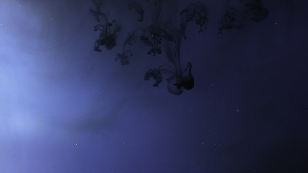 Similar image 22458267