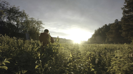 Similar image 22458278