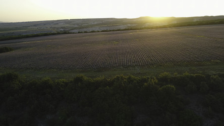 Similar image 22458295