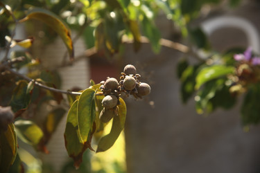 Similar image 22425168