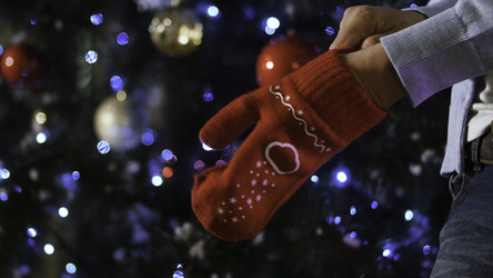 Similar image 22463024