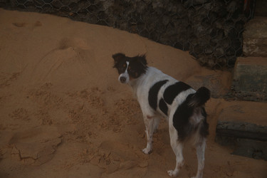 Similar image 22416267