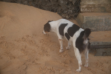 Similar image 22416268