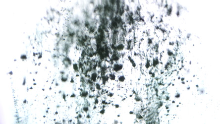 Similar image 22458847