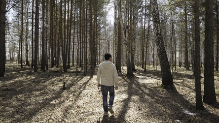 Similar image 22459567