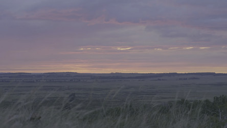 Similar image 22459954