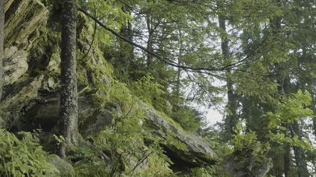 Similar image 22459970