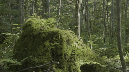 Similar image 22459984