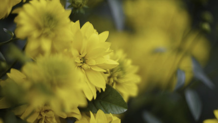 Similar image 22460090