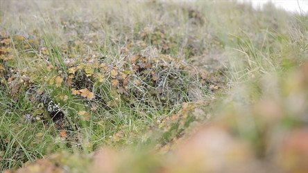 Similar image 22460104