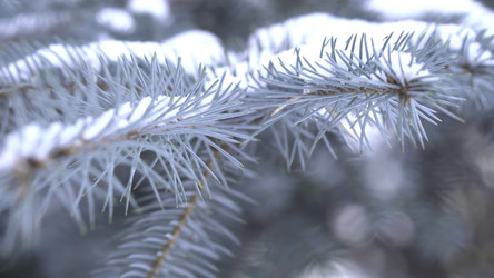 Similar image 22462006