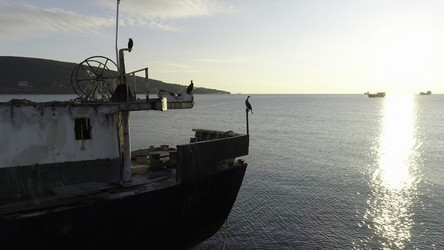 Similar image 22462111